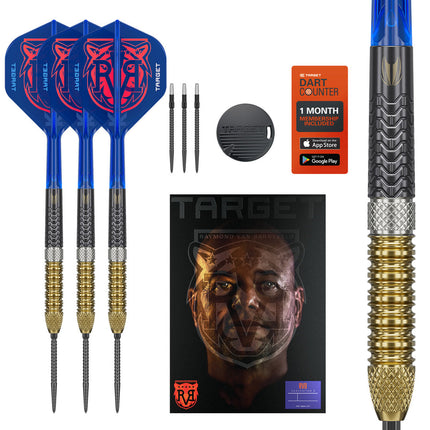 Raymond Van Barneveld G6 95% tungsten darts