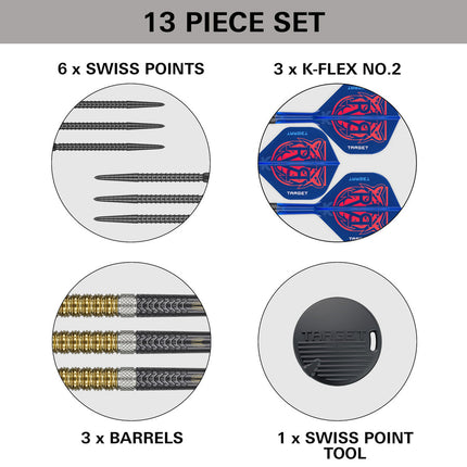 Raymond Van Barneveld G6 95% tungsten darts
