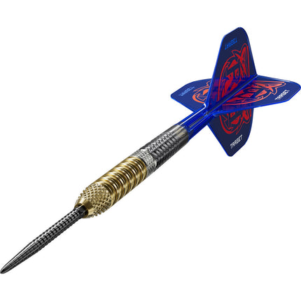 Raymond Van Barneveld G6 95% tungsten darts
