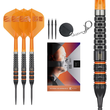 Target Raymond Van Barneveld 95K