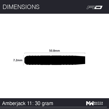 AmberJack 11