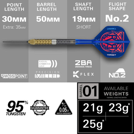Raymond Van Barneveld G6 95% tungsten darts